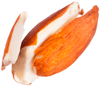 almond