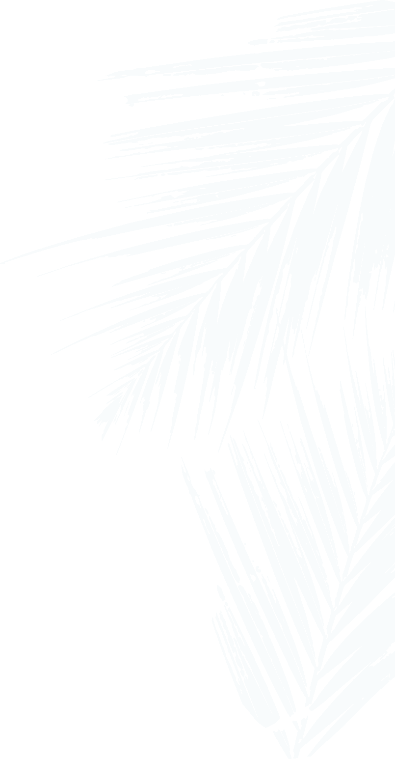 large-leaves