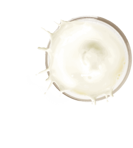 PLANT-BASED BEVERAGES